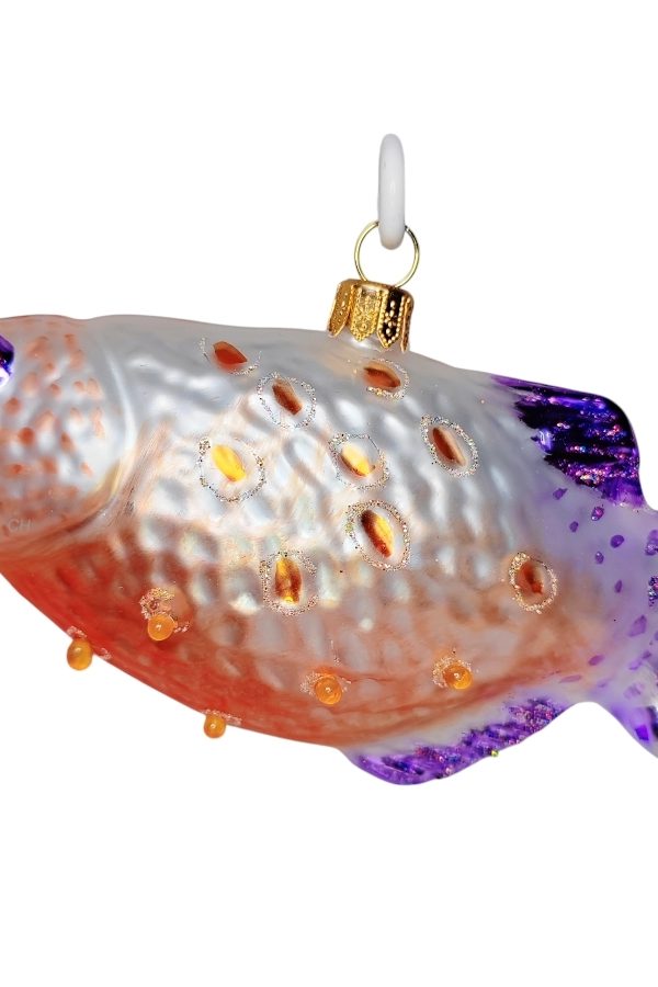 Рыбка. Хромис красавец. Фиолетовая