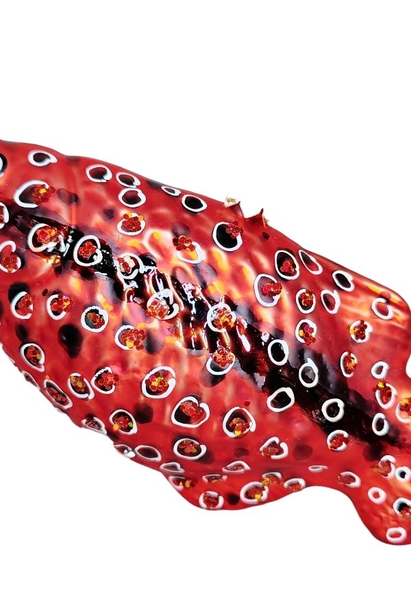 Рыбка. Хромис красавец. Красная