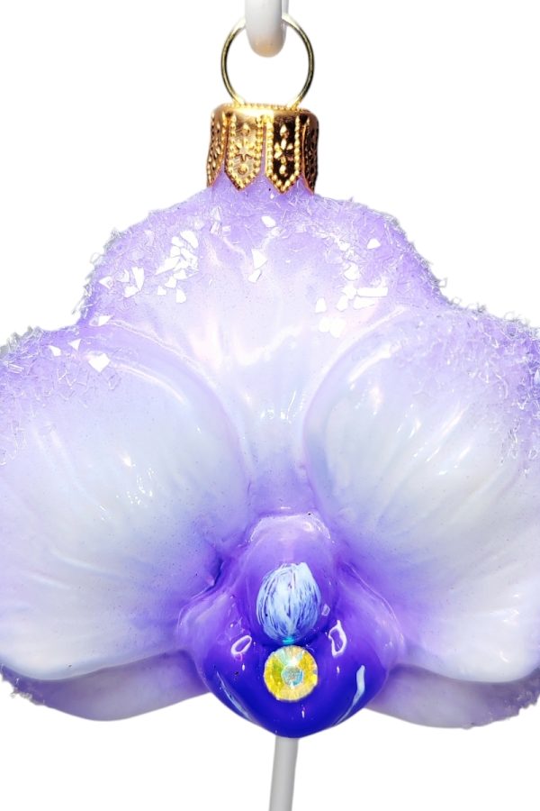 Цветок. Орхидея. Фиолетовая