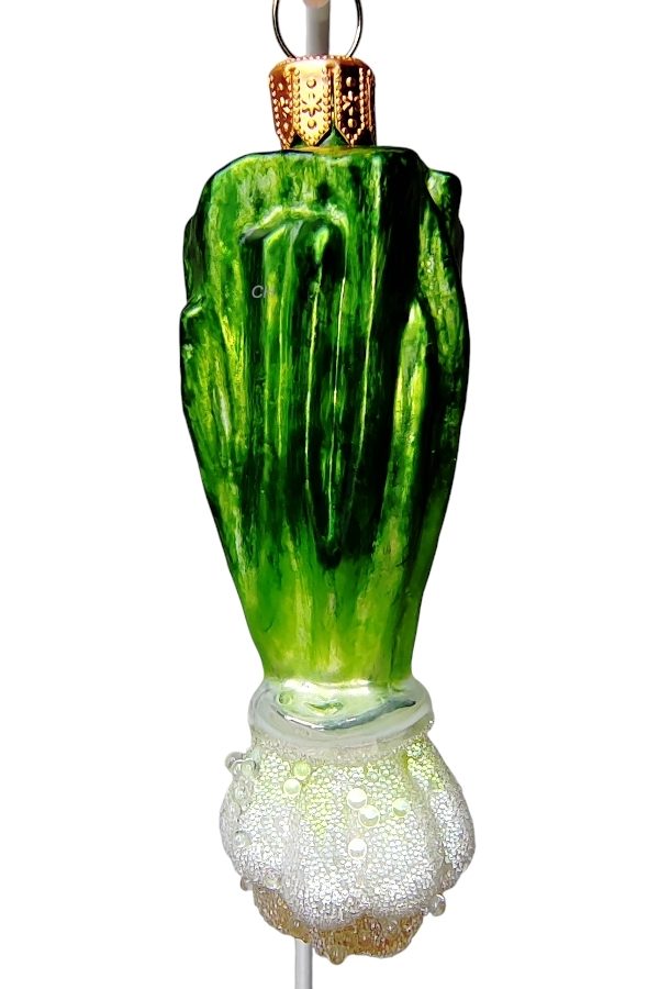 Лук зеленый. Пучок. В росе