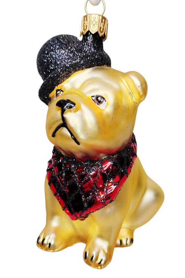 Собака в красном платке и котелке