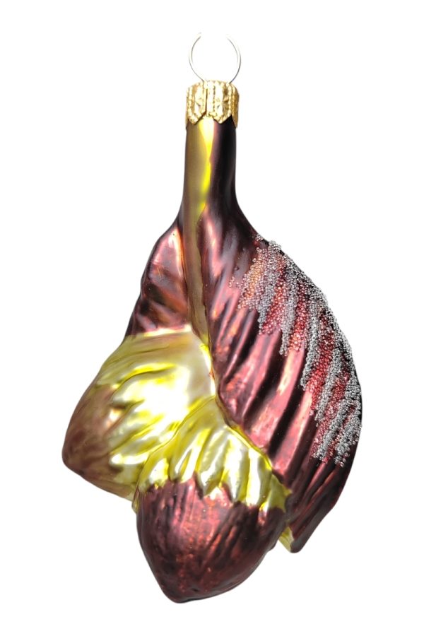 Орех. Фундук. Гроздь