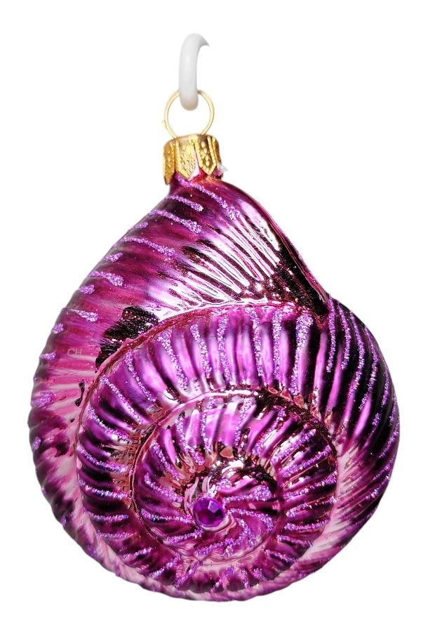 Ракушка. Улитка. Фиолетовая