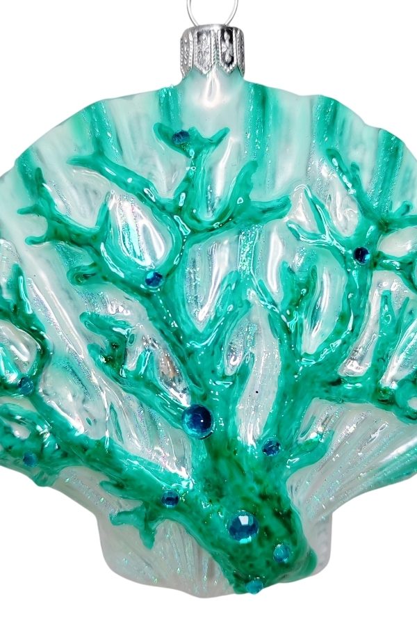 Ракушка. Гребешок. Коралл бирюзовый